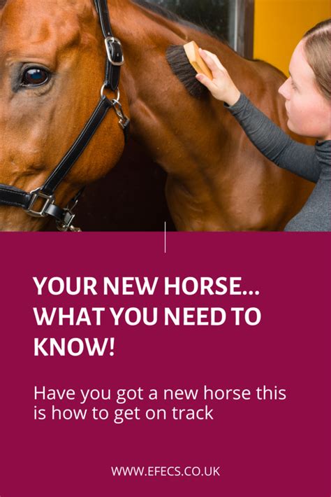 The new HORSEOWNERS ASSOCIATION of..
